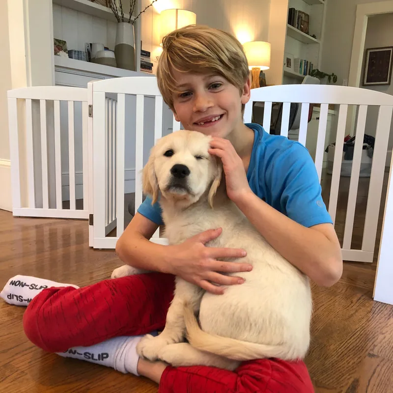 A golden retriever puppy from one of our past litters